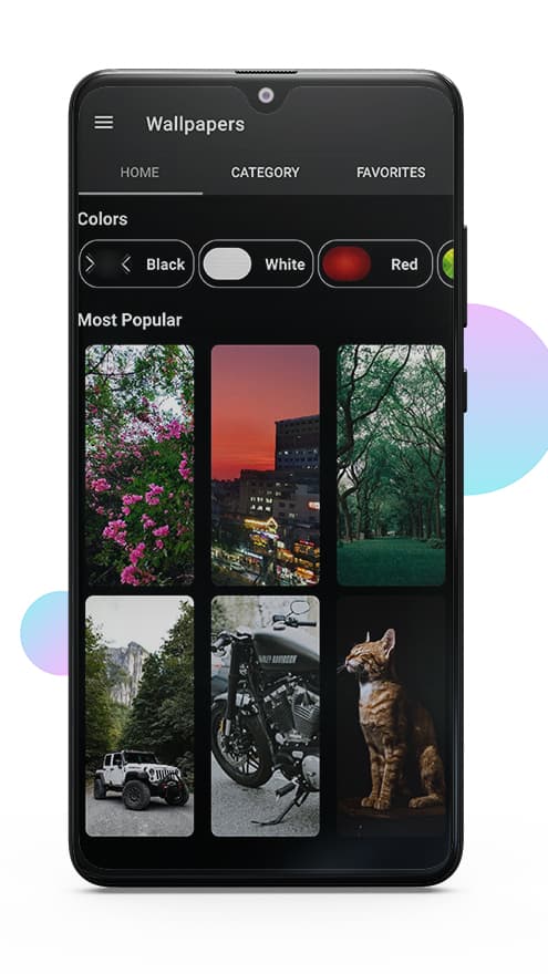 The Wallpaper71 home tab: a colour filter across the top and a Most Popular grid of wallpapers below it.